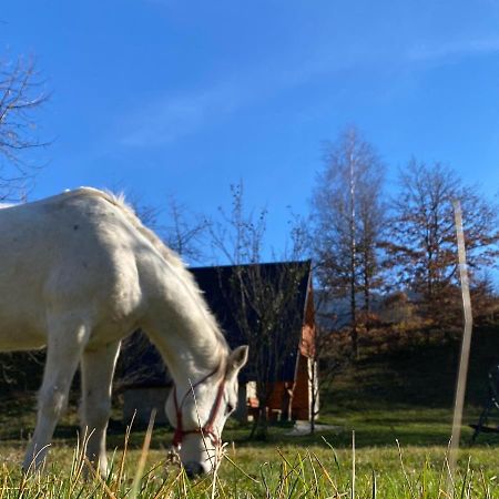 Eco Kutak Vila Mojkovac Exterior foto