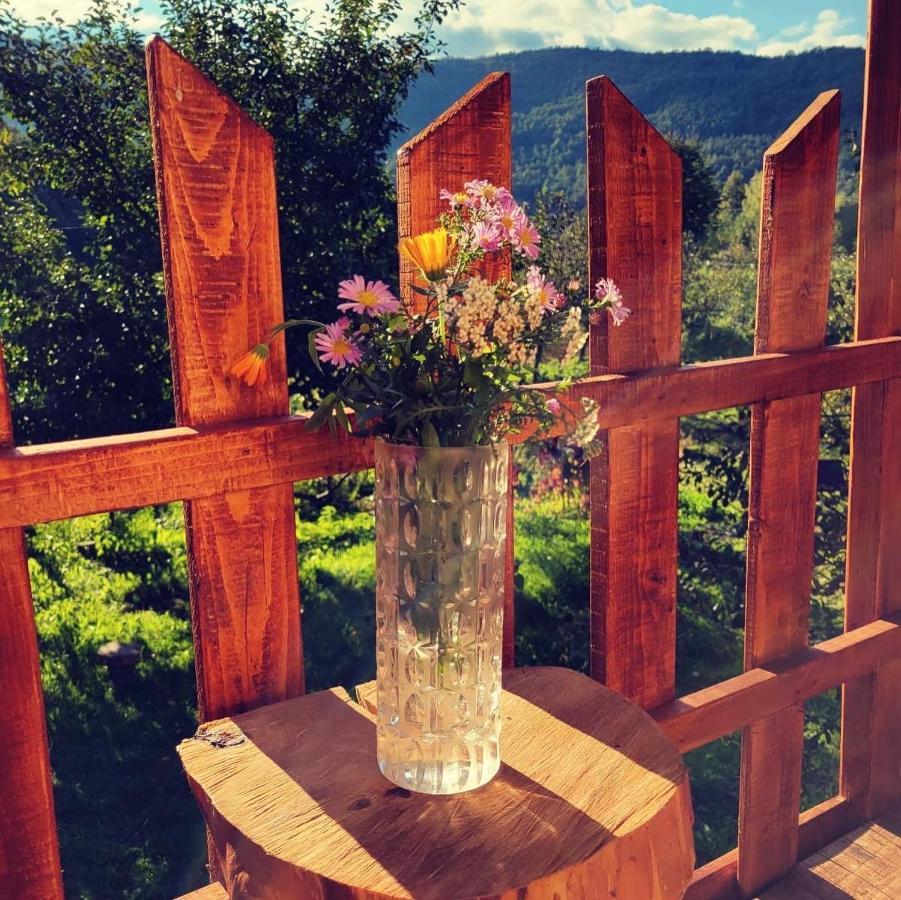 Eco Kutak Vila Mojkovac Exterior foto