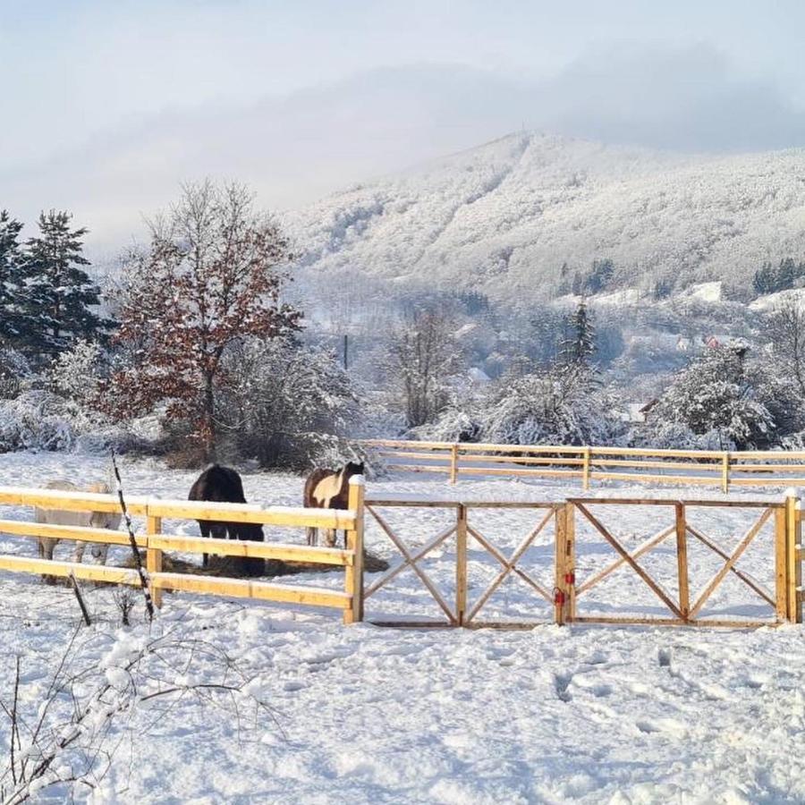 Eco Kutak Vila Mojkovac Exterior foto